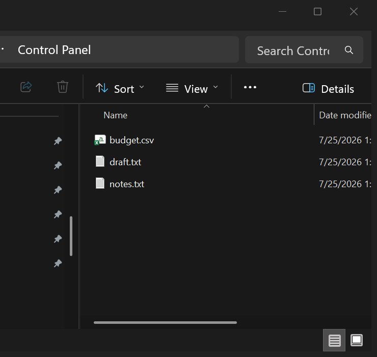 A File Explorer window whose address bar reads Control Panel while the file list shows budget.csv, draft.txt and notes.txt, the three files that were supposedly locked away